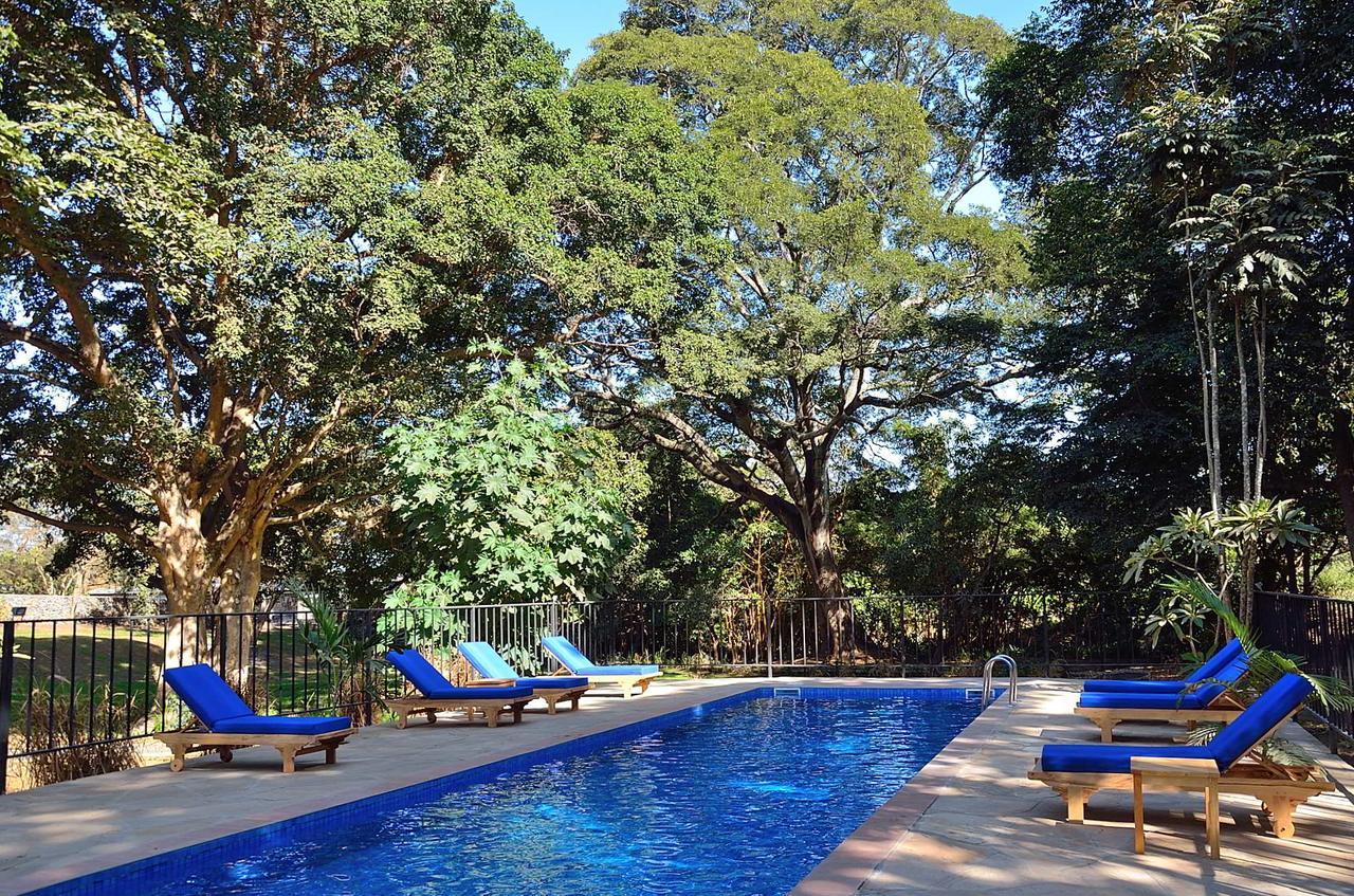 Green Hills Of Africa Hotel Usa River Exterior photo
