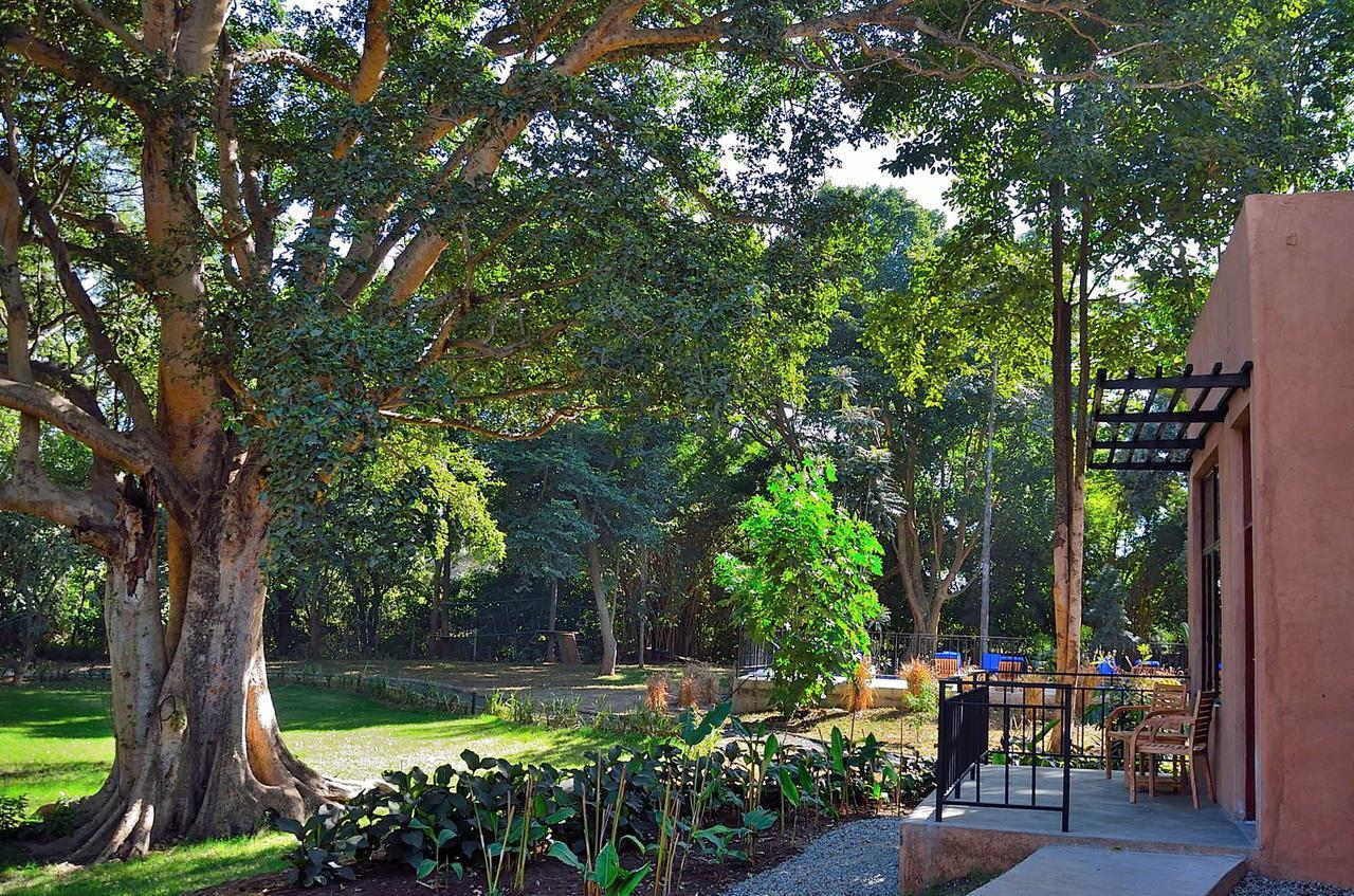 Green Hills Of Africa Hotel Usa River Exterior photo